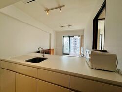 Newton Suites (D11), Apartment #576362111